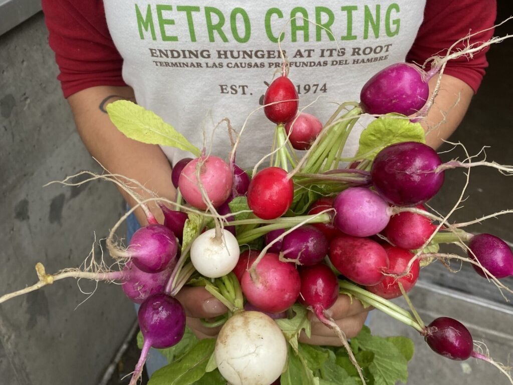 Persona con camiseta de Metro Caring sosteniendo rábanos