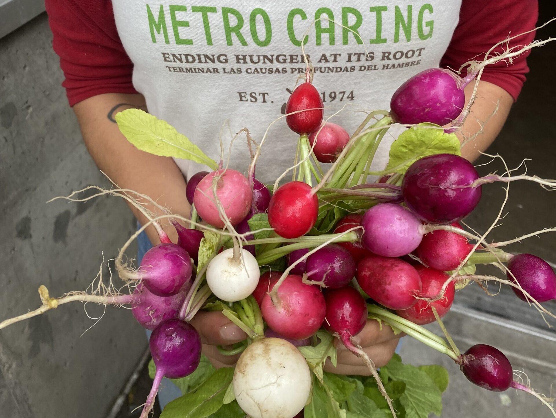 Person mit Metro Caring Shirt hält Radieschen