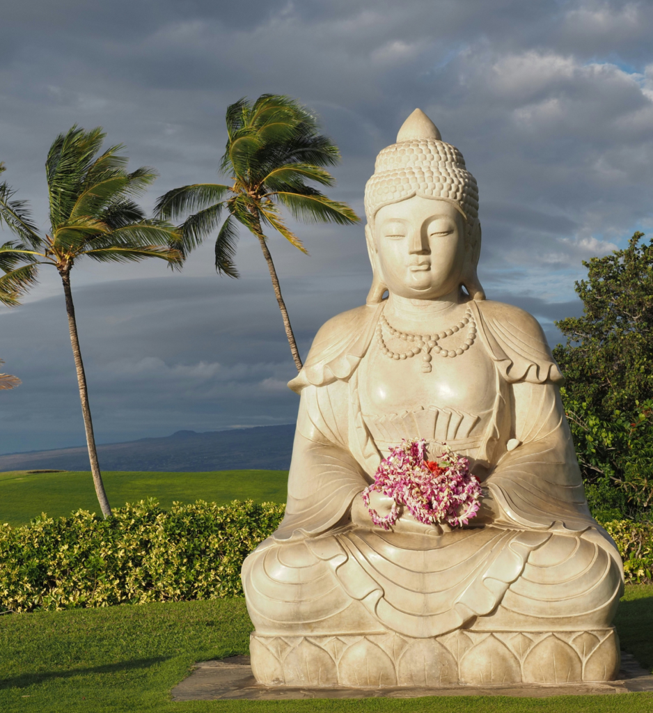 Buddha in the Tropics