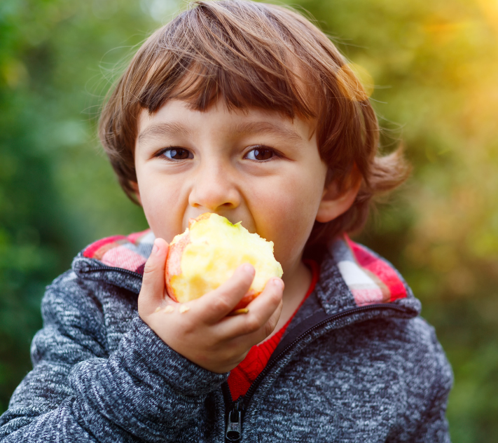 小男孩吃苹果