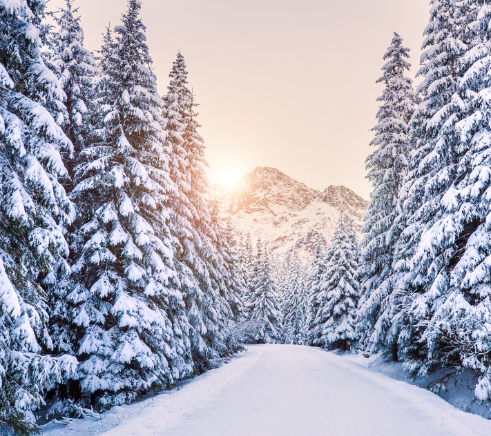 Camino nevado que conduce a una montaña nevada con árboles de hoja perenne cubiertos de nieve a ambos lados del camino